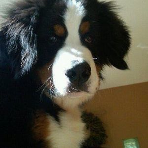 Meet your Posher, Cathy